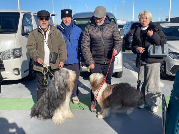 イタリアからステラちゃんがやってきたサムネイル